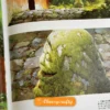 Artbook Vùng Đất Linh Hồn